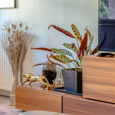 Апартаменти Archiduck Votre Maison Terrasse Parking