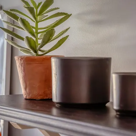 Апартаменти Archiduck Votre Maison Terrasse Parking